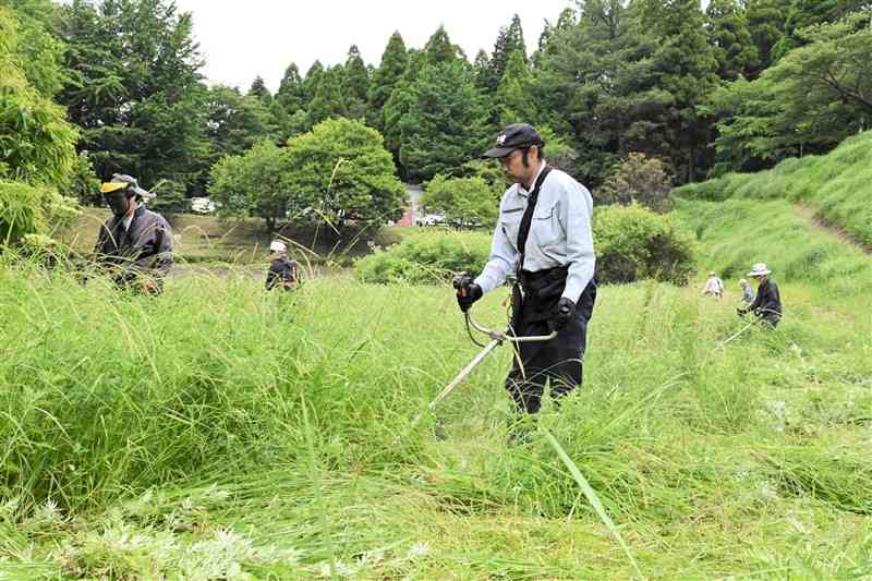 希少植物の自生地の草を刈る「阿蘇の自然を愛護する会」の会員ら＝阿蘇市