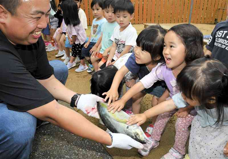 生け締めしたばかりのシマアジに恐る恐る触る園児たち＝天草市