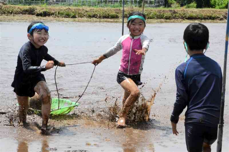 泥んこになってはしゃぎ回る子どもたち＝合志市