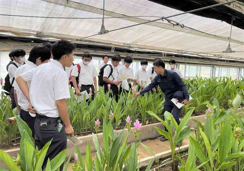 初めて開かれた学校見学会「新緑の学園」で、花の栽培について説明を受ける高校生たち＝17日、合志市の県立農業大学校