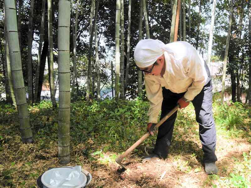 4月中旬、自宅裏の竹林でタケノコを掘る太田智久さん。普段は手が回らず、踏みつぶして処理することが多い＝熊本市北区