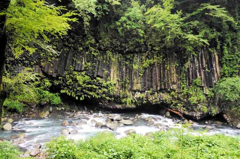 霧島神水峡の遊歩道から眺められる柱状節理＝霧島市