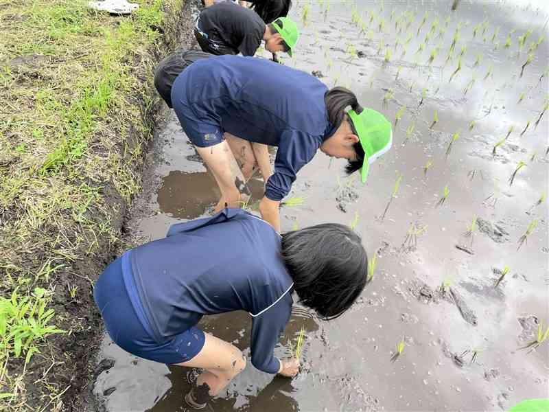 黄緑色の帽子を被っているのが私（木戸さん提供）