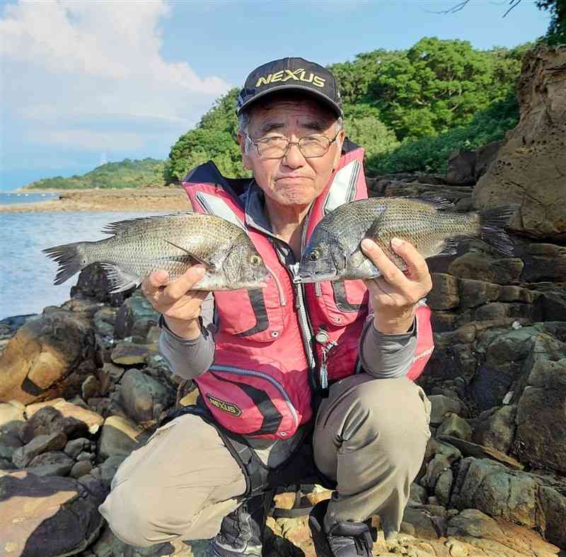 練り餌でチヌを揚げた緒方和人さん＝上天草市松島町の永浦島