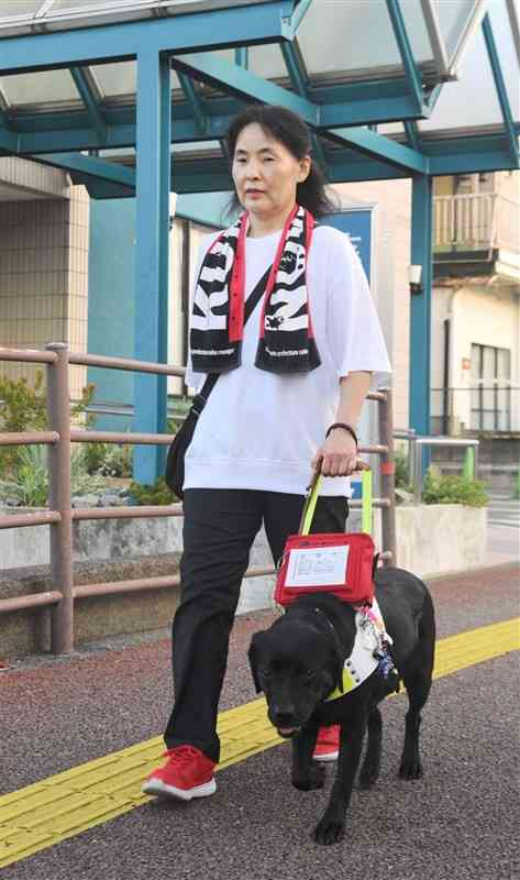 盲導犬の「ちよ」と自宅近くの歩道を散歩する横手純子さん＝山鹿市