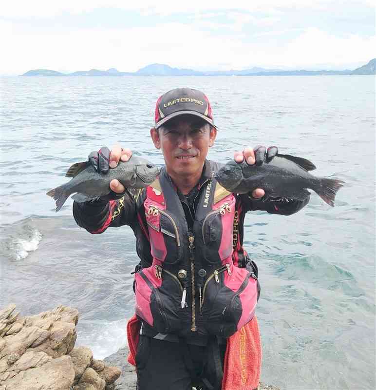 多めのまき餌で釣り揚げた30センチと31センチのクロ＝天草市有明町の黒島