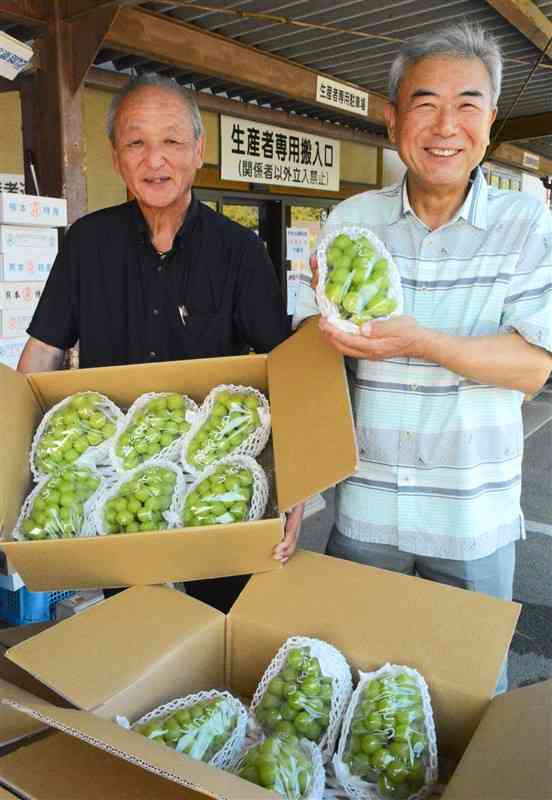 タイに向けて輸出するシャインマスカットと生産者の古田博宣さん（右）＝宇城市