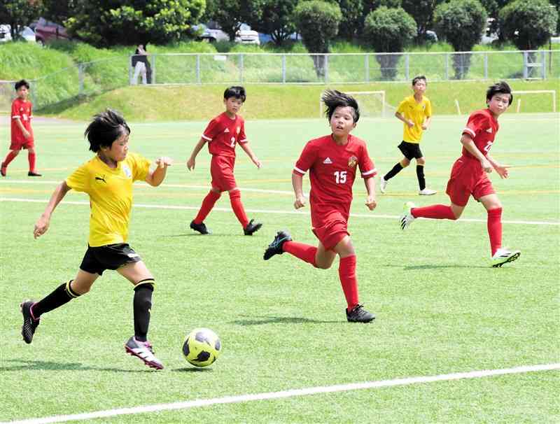 「監督が怒ってはいけない」サッカーフェスティバルで生き生きとプレーする選手たち＝20日、大津町