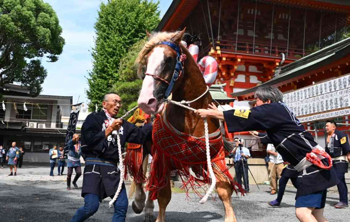 本番さながらの勇壮な馬追いが披露された藤崎八旛宮の「飾り馬飾り卸し」＝熊本市中央区　