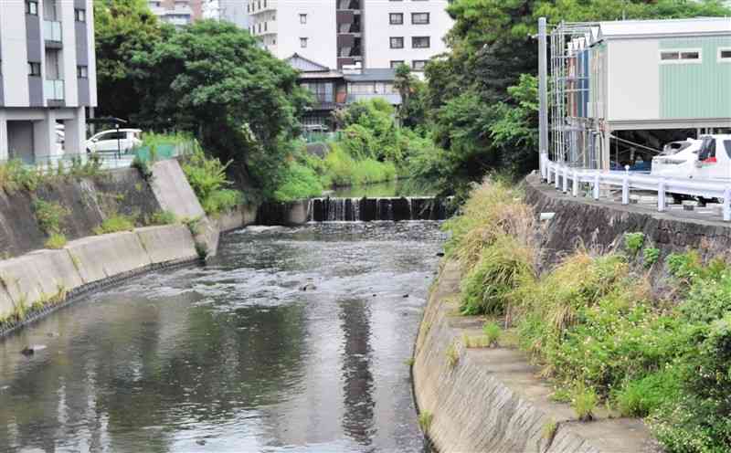 坪井川の河口から9845メートル上流にある堰（せき）。県河川課によると、ここまで汽水域が続いているという＝1日、熊本市西区