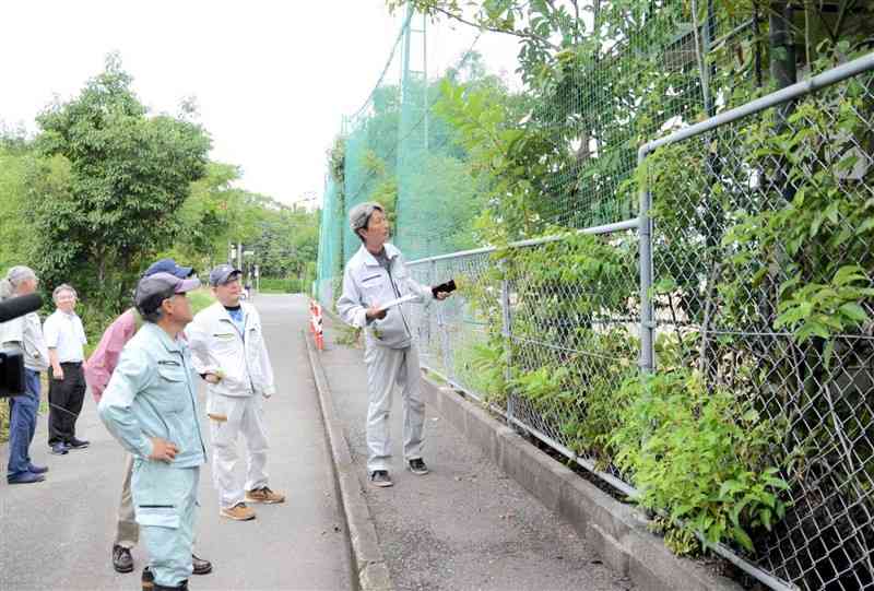 八代一中の樹木を点検する八代市造園防災協議会の会員＝同市