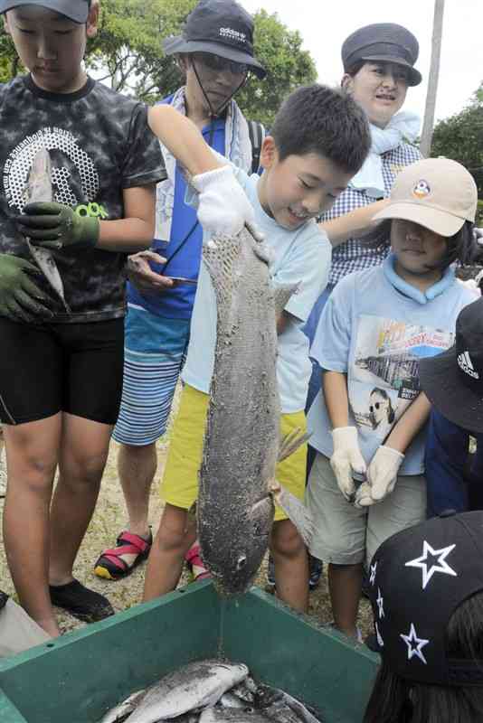 地引き網漁で取れた魚に大喜びする子どもたち＝芦北町