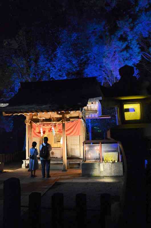 ライトアップで彩られた水前寺成趣園内の稲荷神社＝熊本市中央区