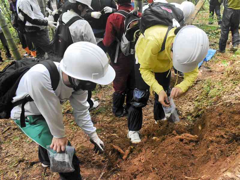 竹林で土を採集する高校生たち＝和水町