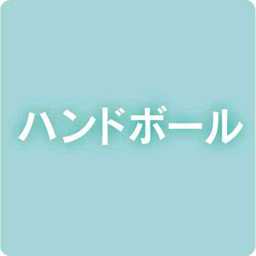 オムロン逆転勝ち　HC名古屋に22－19　日本ハンドボールリーグ女子