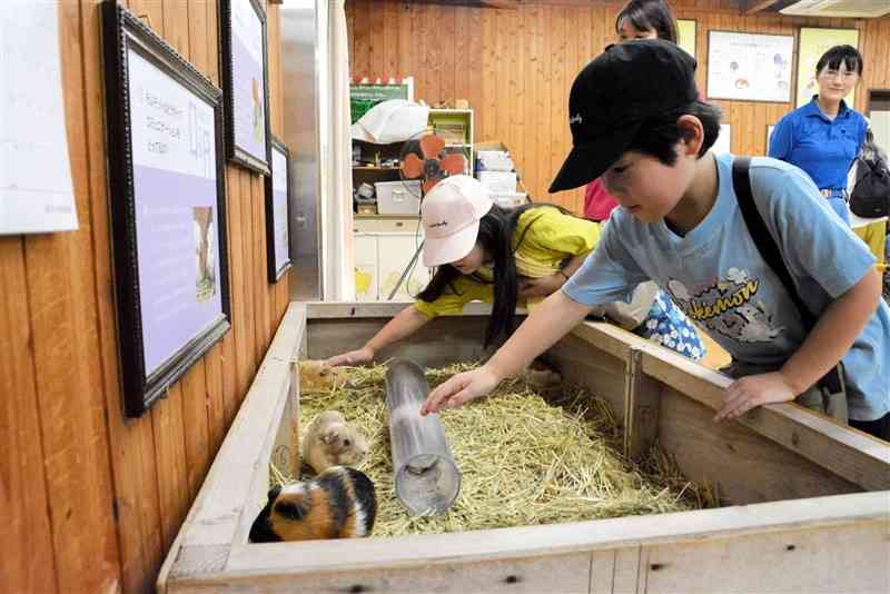 動物にも「快適な環境」を 熊本市動植物園、アニマルウェルフェア向上