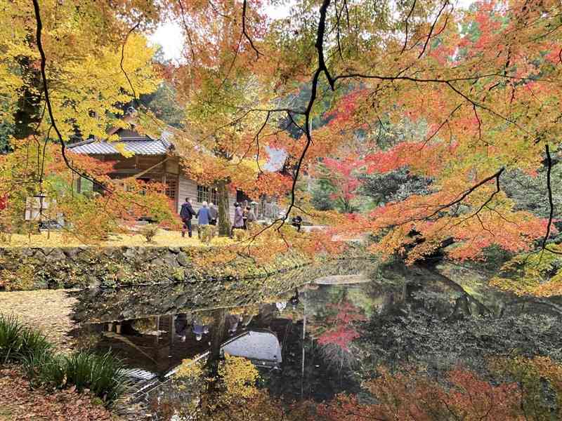 阿蘇市的石の隼鷹天満宮の紅葉の様子。2022年11月（熊本市、新田智昭さん撮影）