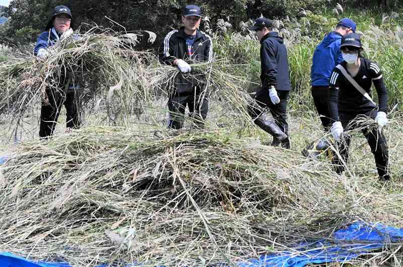 ススキやヨシの除草作業に励むアイシングループ社員ら＝南小国町