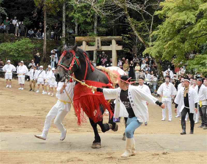 六殿神社の例大祭で馬追いを奉納する仲間ら＝熊本市南区