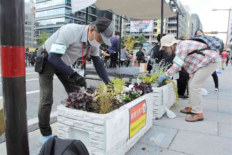 プランターに苗を植え付ける「緑のマイスター」たち＝15日、熊本市中央区