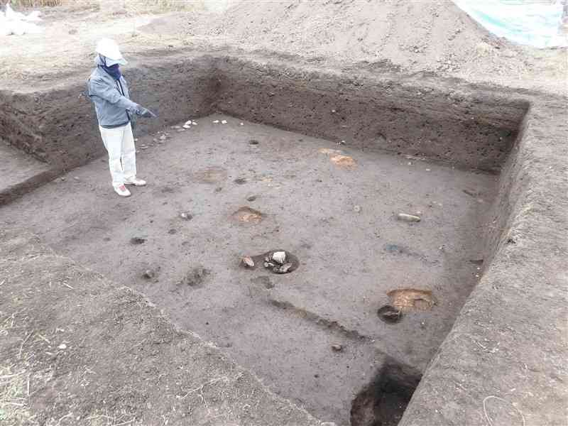 「菊之城」跡として伝わる菊池川右岸から見つかった菊池一族の初期の館跡と見られる遺構。茶色く変色している3カ所が柱跡という＝2020年12月、菊池市