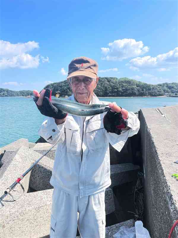 サヨリの回遊を心待ちにし、6匹を揚げた灰谷豊さん＝天草市有明町の大浦漁港