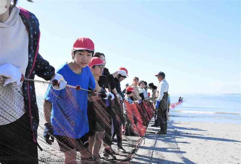 伝統の地引き網漁を体験する鍋小の児童たち＝玉名市
