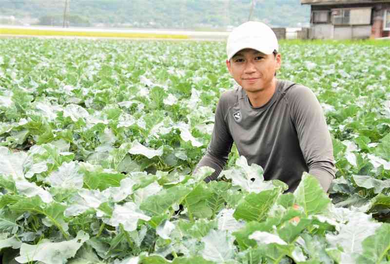 ブロッコリーなど露地野菜を育てる平岡祥吾さん＝八代市