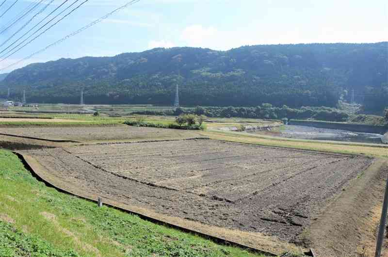 11月から水張りを始める瀬田地区の農地。奥は白川＝24日、大津町