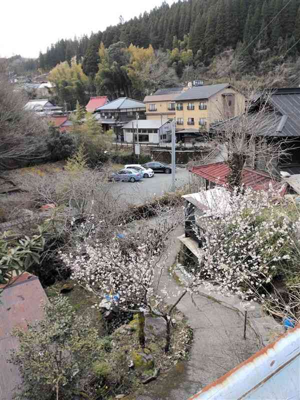 山あいの静かな田の原地区。山田洋次監督は、この場所からの風景が気に入り、「男はつらいよ」の撮影を考えたという。右から2軒目の建物が大朗舘だが、改築して撮影当時の面影はない＝南小国町満願寺