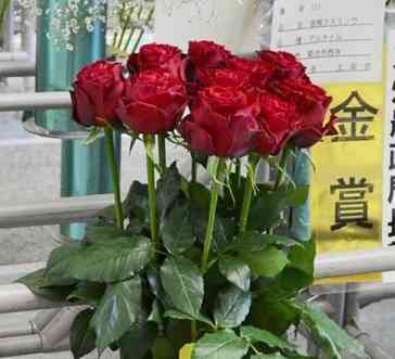 県花き品評会で村上康貴さんが出品し、農林水産大臣賞を獲得したバラ＝8日、県庁