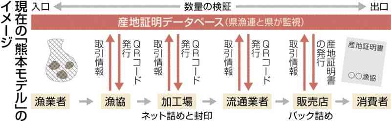 アサリ産地偽装防止「熊本モデル」、漁場ある9市町含む協議会で仕組み構築へ　現状は県と県漁連で運用