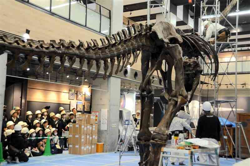 ティラノサウルスの複製骨格の組み立て作業を見学する御所浦小の児童ら＝16日、天草市