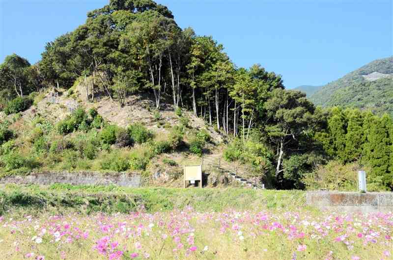 倉岳の麓に築かれた国指定史跡の中世城「棚底城跡」＝21日、天草市