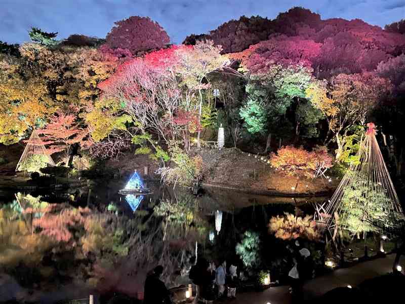 美しい紅葉を竹あかりの幻想的な光が照らす「ひごあかり」＝25日、東京都文京区