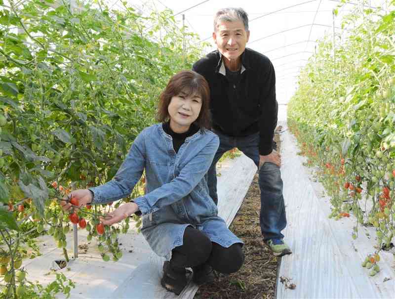 有機農業にこだわったトマトを栽培している「肥後あゆみの会」の澤村輝彦さん（右）と妻のみつ子さん＝宇城市