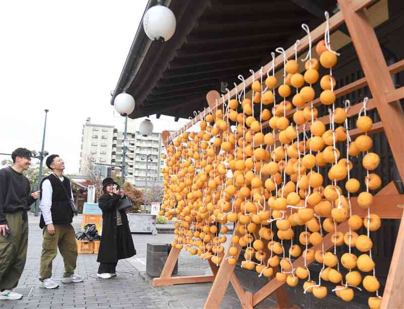 山鹿市中心部の温泉「さくら湯」の軒下につるされた干し柿。県外の観光客が珍しそうに見入っていた＝5日、同市