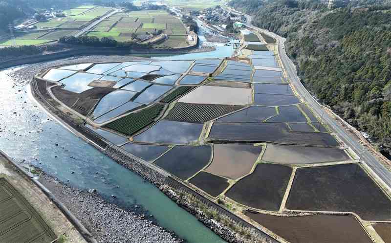 「くまもと地下水財団」が昨年11月から冬期湛水事業を始めた大津町瀬田地区の田んぼ＝昨年12月（石本智、ドローン撮影）