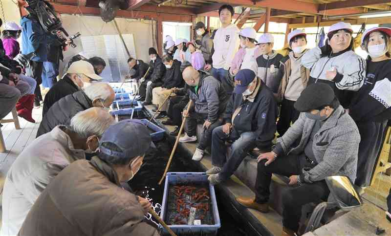 水路を流れてくる金魚やニシキゴイを競り落とす愛好家ら＝11日、長洲町