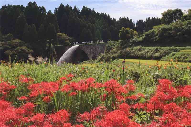 県高文連写真専門部2023年度後期写真コンテスト 入賞作品決まる