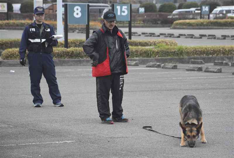 臭いを頼りに遺留品に見立てたゴム片を探すシェパード＝20日、菊陽町