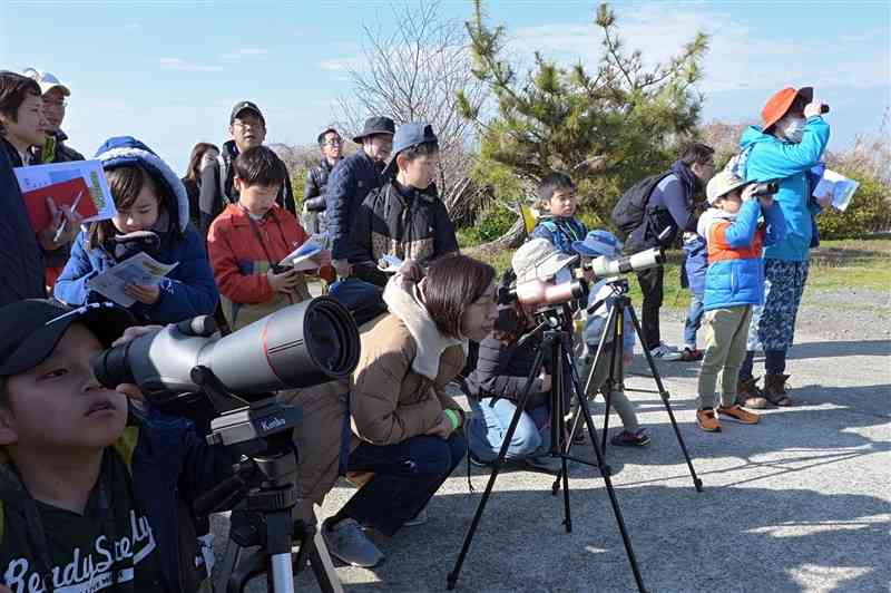 球磨川河口付近の野鳥を観察するくまＴＯＭＯサポーター＝1月20日、八代市