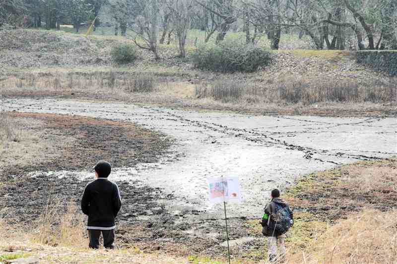 池の水がなくなり、イノシシの足跡が残る立田山のトンボ池＝1月28日、熊本市北区