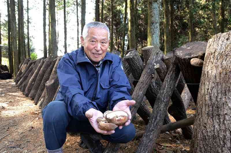 原木シイタケを栽培する野田治美さん。「冬の寒さにこなされたシイタケは、うまみが濃縮している」と話す＝14日、阿蘇市