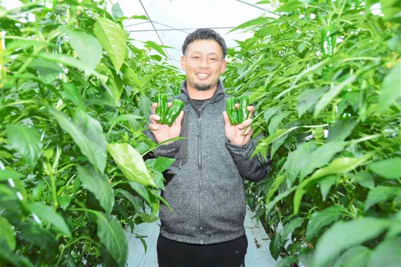 スマート農業を意識したピーマン栽培について語る大門剛さん＝宇土市