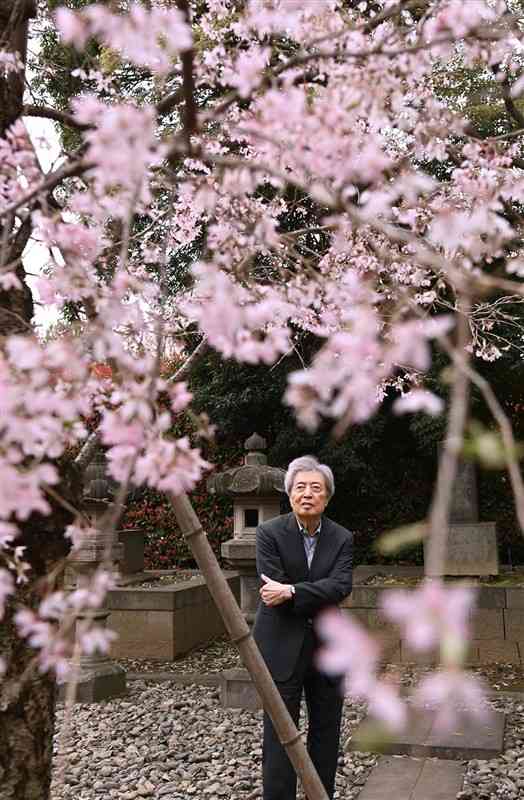 細川家歴代の墓所内で桜を眺める細川護熙さん＝東京都品川区（小野宏明）