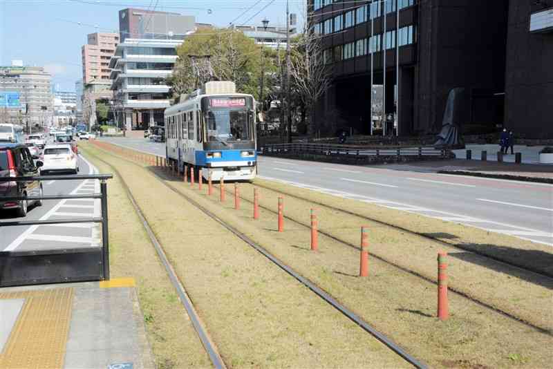 熊本市電の軌道敷内に芝生を植える「緑のじゅうたん」。市民や団体の寄付で支えられている＝7日、熊本市