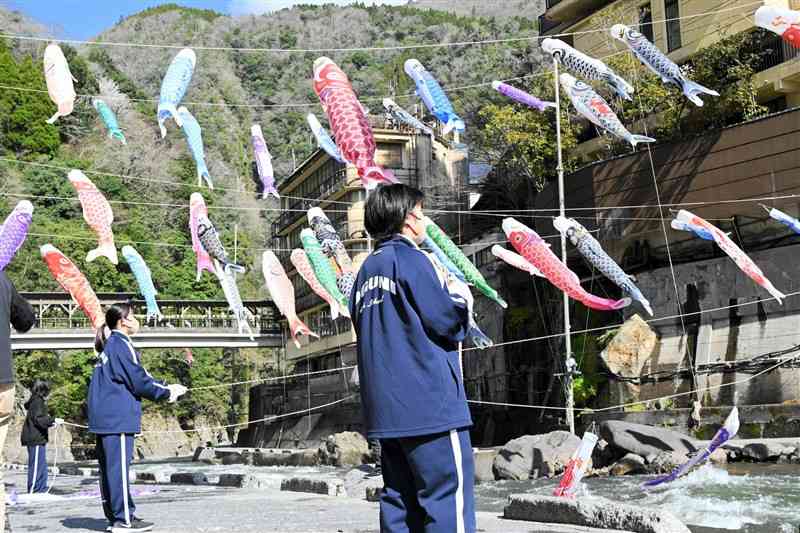 杖立温泉「鯉のぼり祭り」の設営を手伝う小国高生＝27日、小国町