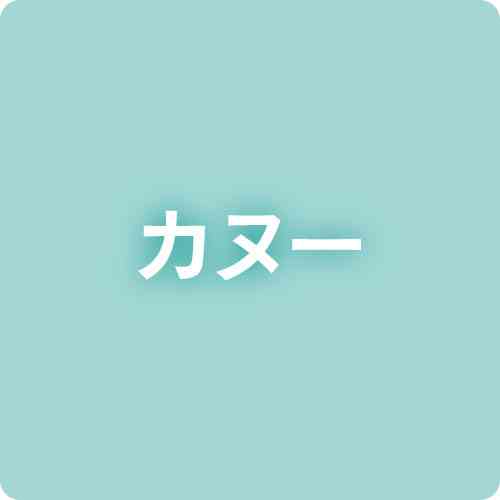 ＜佐賀国民スポーツ大会・カヌー＞熊本勢4艇が決勝へ