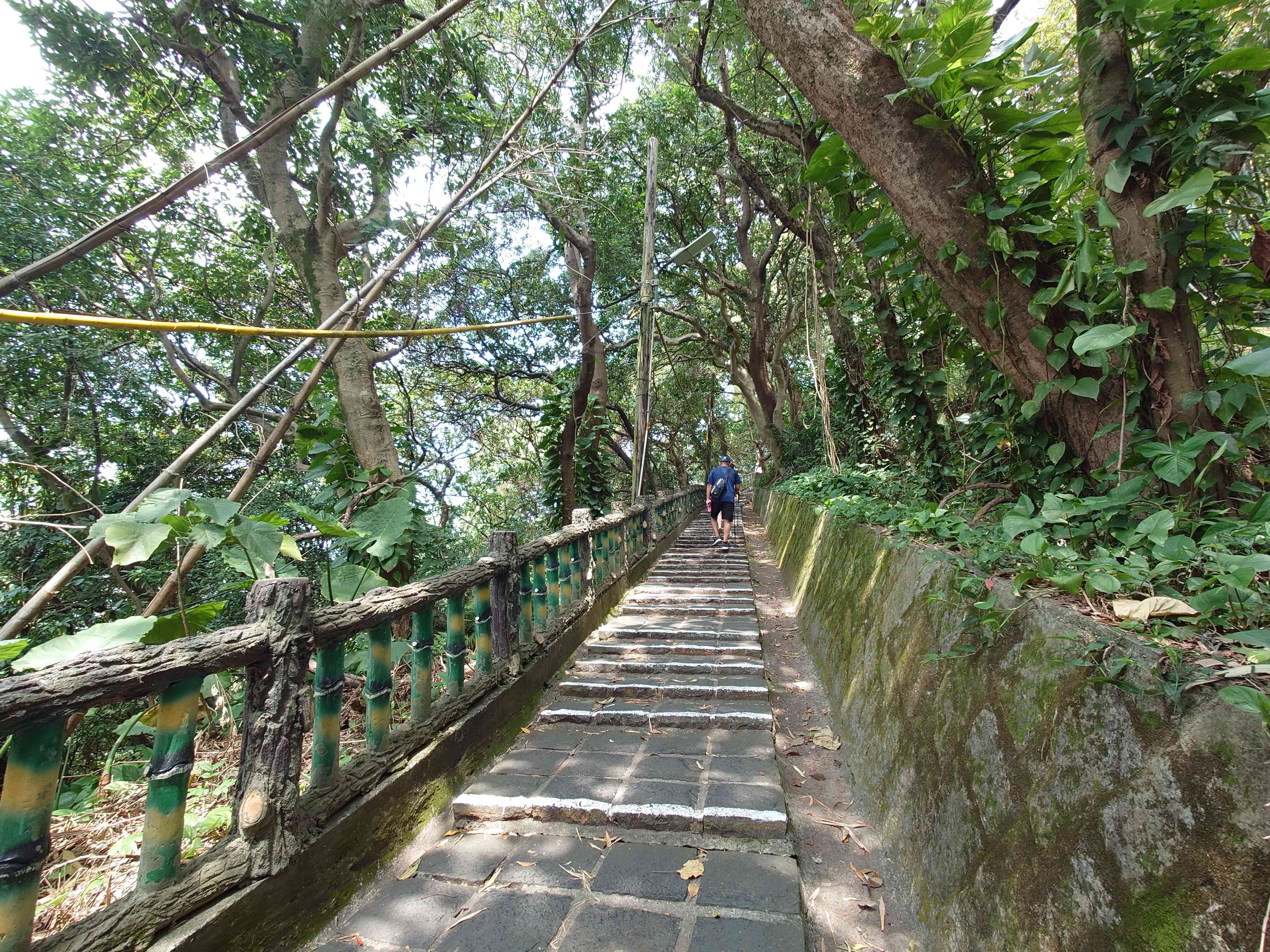 こう配が緩く、歩きやすい剣潭山親山歩道＝３月24日（ＮＮＡ撮影）